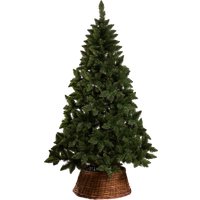 Ель Ёлушка Невская ЕНЕВ 18 (1.8м)