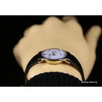 Наручные часы Skagen SKW2209