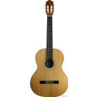 Акустическая гитара Kremona S65C