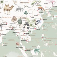 Фотообои Citydecor Детская Карта мира 351 312x265