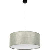 Подвесная люстра TK Lighting Earth 4657