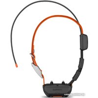 Ошейник с GPS-трекером Garmin Alpha TT 25