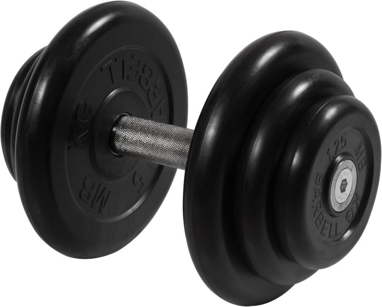 

Гантель MB Barbell Профи 18.5 кг (вращающаяся ручка)