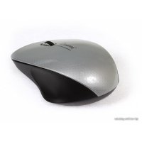 Мышь SmartBuy 309AG Silver/Black (SBM-309AG-SK)