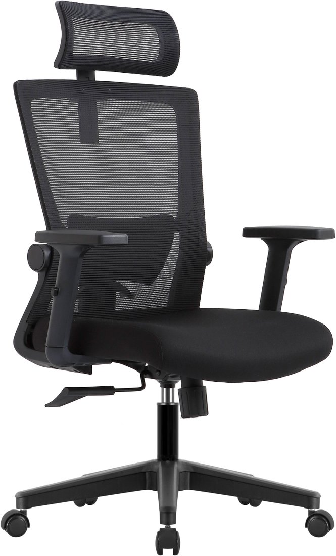 

Офисное кресло Evolution ErgoLine 1 (черный)