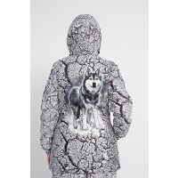 Лыжи Crodis Хаски 11661 (р.40-42/158-164)