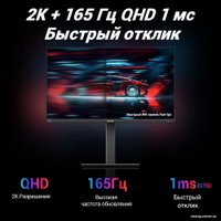 Игровой монитор Sanc G5c II M2466QPT в Мозыре