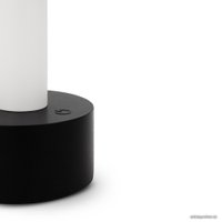 Настольная лампа Maytoni Tet-a-tet MOD104TL-3AB3K