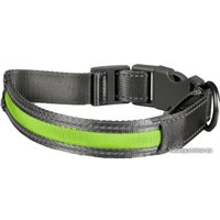 Ошейник Duvo Plus 10643/DV (серый/зеленый)