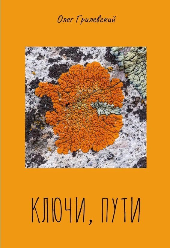 

Книга издательства Де'Либри Ключи, пути (Грилевский Олег)