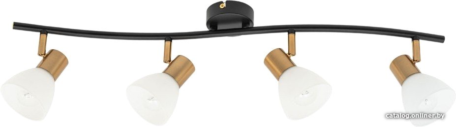 Спот Arte Lamp Falena A3117PL-4BK