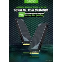 SSD OSCOO ON1000PRO 1TB в Могилеве