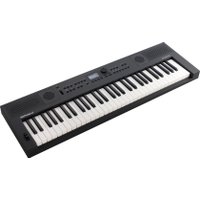 Синтезатор Roland Go:Keys 5 (графит)