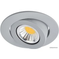 Точечный светильник Arte Lamp Accento A4009PL-1GY