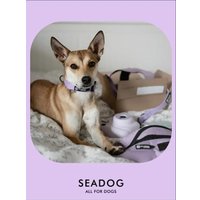 Ошейник Seadog Lavander L