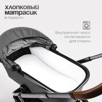 Универсальная коляска Tomix Adele 2 в 1 S760/2 (черный)