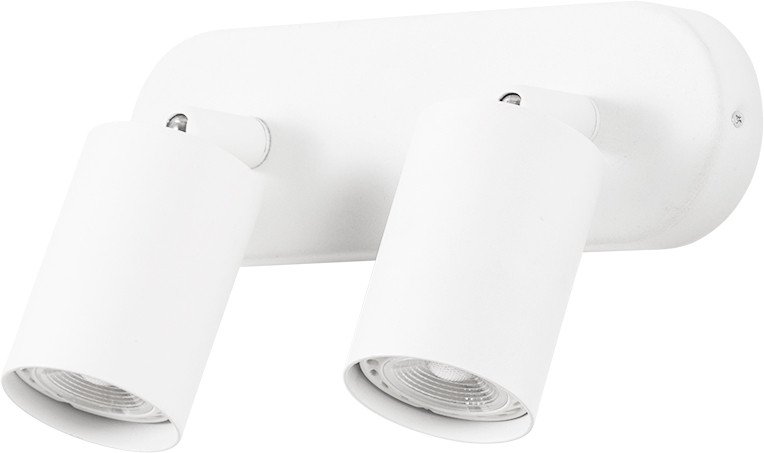 

Спот Arte Lamp Aquarius A3226PL-2WH