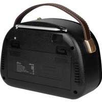 Радиоприемник Ritmix RPR-040 (черный)