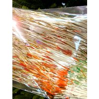 Елочная игрушка Shishi 63259 (6л, шампань) в Бресте