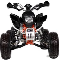 Квадроцикл IRBIS ATV 250S