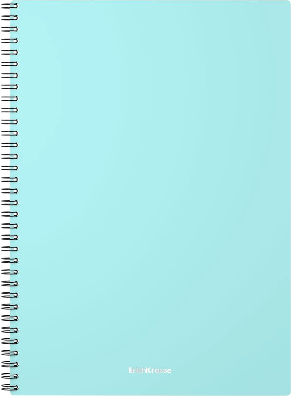 

Общая тетрадь Erich Krause Pastel Mint 80 л клетка 53701