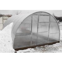 Теплица Сибирские теплицы АгроСила 40x20/0.67, 10 м (ширина 4 м) в Бобруйске