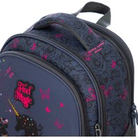 Школьный рюкзак Steiner SK3-3