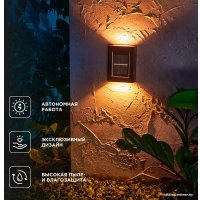 Уличный настенный светильник Rexant Флит 602-2416