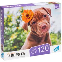 Пазл Dream Makers Зверята RI1203C