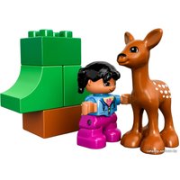 Конструктор LEGO 10582 Forest: Animals