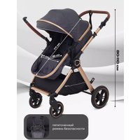 Универсальная коляска Rant Basic Roller Gold RA161 (2 в 1, grey)