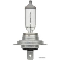 Галогенная лампа Bosch H7 Pure Light Blister 1шт в Бресте