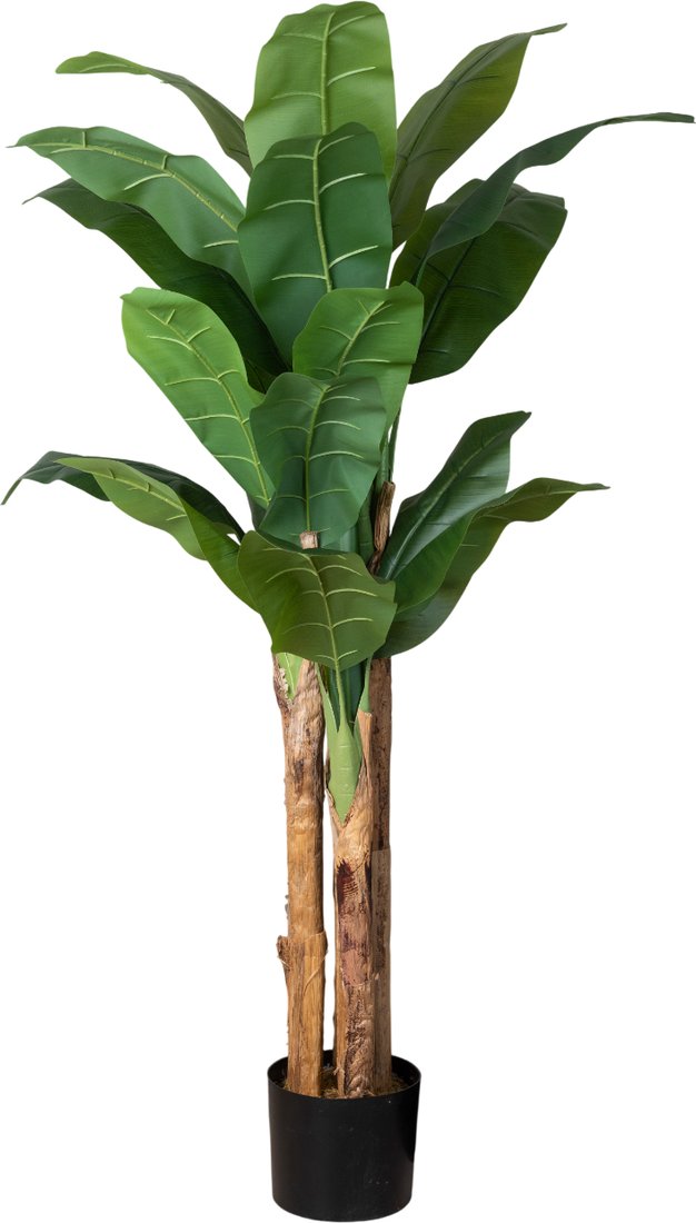 

Искусственное растение Merry Bear Home Decor Банановое Дерево A7012150