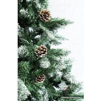 Ель Аркамакс Аскона 1.5 м