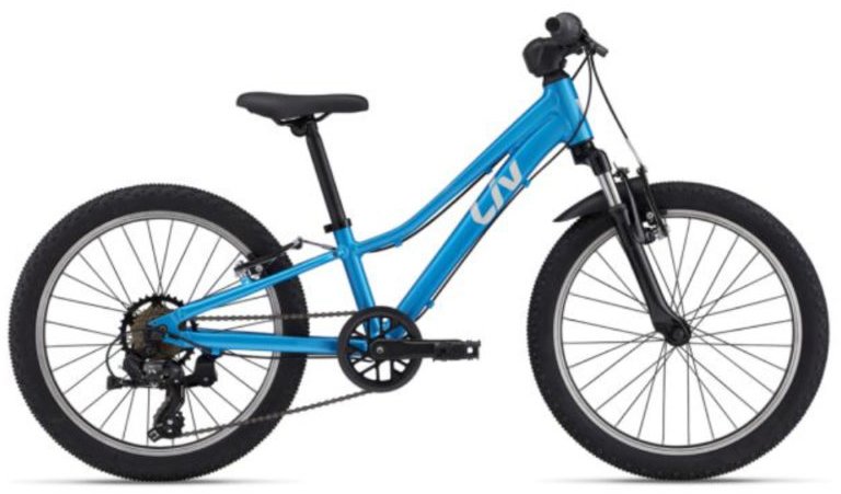 

Детский велосипед Giant Tempt 20" (al blue)