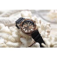 Наручные часы Citizen Promaster NY0125-08W