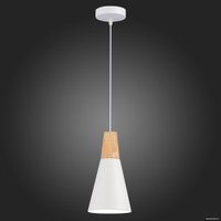 Подвесная люстра Evoluce SLE125153-01