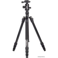 Трипод Raylab Pro 70 (с головой)