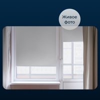 Рулонные шторы Franc Gardiner Blackout Dublin 100x160 7799668 (белый)