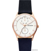 Наручные часы Skagen SKW6372