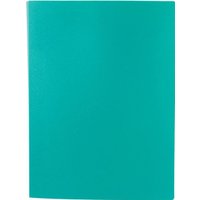 Папка для бумаг Lite NP0151-30ВG с файлами