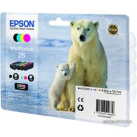 Картридж Epson C13T26164010