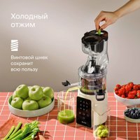 Соковыжималка Tuvio TJ05PD в Витебске