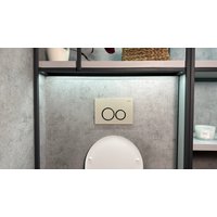 Панель смыва Roxen Santi 410260BG