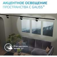 Трековый светильник Gauss TR084