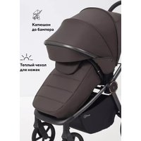 Универсальная коляска Rant Flex Therm RA112 (2 в 1, shine brown)