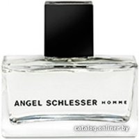 Туалетная вода Angel Schlesser Homme edT (75 мл)