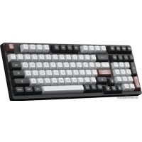 Клавиатура Akko Dracula Castle 3098S (Akko CS Silver)