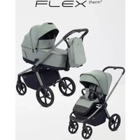 Универсальная коляска Rant Flex Therm RA112 (2 в 1, forest green)