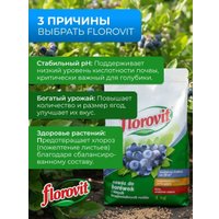 Удобрение Florovit минеральное для голубики 1 кг